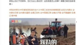 近期热瓜爆料新闻报道视频,新闻报道背后的真相与内幕